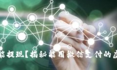 微信支付能提现？揭秘能用微信支付的虚拟币钱