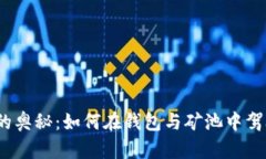 探索区块链的奥秘：如何在钱包与矿池中驾驭未