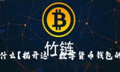 比特派是什么？揭开这一数字货币钱包的神秘面