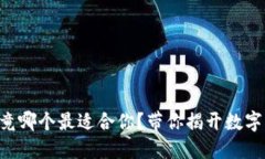 “虚拟钱包究竟哪个最适合你？带你揭开数字支