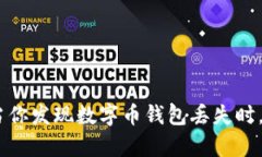 失落的财富：当你发现数字币钱包丢失时，你的