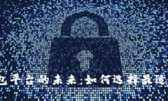 探索国内虚拟数字钱包平台的未来：如何选择最