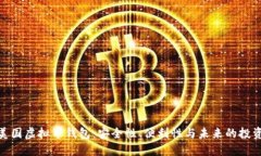 探索美国虚拟币钱包：安全性、便利性与未来的