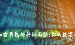 揭开区块链加密钱包的神秘面纱：你的数字资产