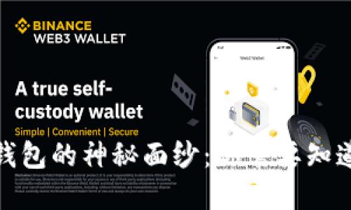 : 揭开虚拟币钱包的神秘面纱：你需要知道的关键知识点