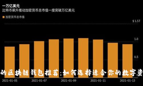 安全性最佳的区块链钱包推荐：如何选择适合你的数字资产保护工具