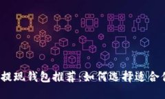 数字货币提现钱包推荐：如何选择适合你的钱包