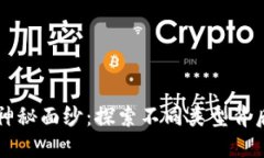 揭开区块链的神秘面纱：探索不同类型背后的潜