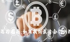 数字币钱包选择指南：如何找到最适合你的理想