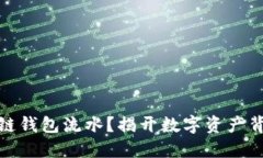 如何查看区块链钱包流水？揭开数字资产背后的