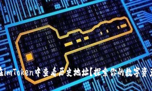 如何在imToken中查看历史地址？探索你的数字资产轨迹