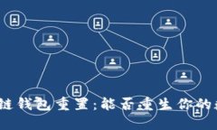 biao区块链钱包重置：能否重生你的数字资产？