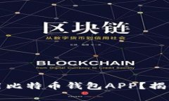 如何安全快速地下载和使用比特币钱包APP？揭秘