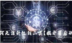你的数字钱包为何无法升级到二类？揭开背后的