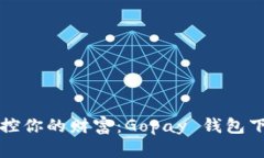 轻松掌控你的财富：Gopay 钱包下载指南