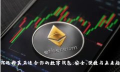 如何选择真正适合你的数字钱包：安全、便捷与