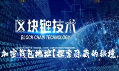如何轻松查找您的加密钱包地址？探索隐藏的秘