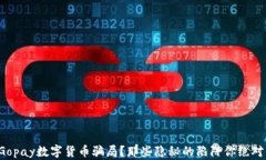 如何识破Gopay数字货币骗局？那些隐秘的陷阱你绝