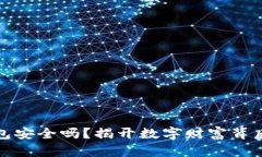 虚拟币理财钱包安全吗？揭开数字财富背后的隐