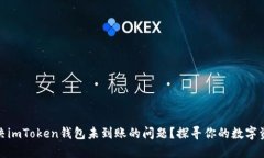 如何解决imToken钱包未到账的问题？探寻你的数字