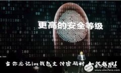 当你忘记im钱包支付密码时，如何找回？