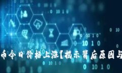 为何柴犬币今日价格上涨？揭示背后原因与未来