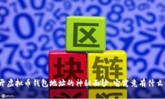 揭开虚拟币钱包地址的神秘面纱：它究竟有什么