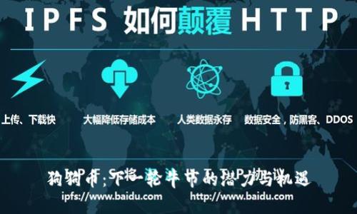 狗狗币：下一轮牛市的潜力与机遇