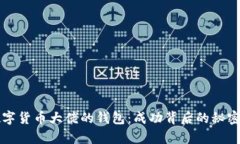 揭秘数字货币大佬的钱包：成功背后的秘密与启