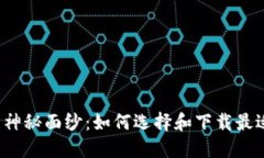揭开区块链钱包的神秘面纱：如何选择和下载最