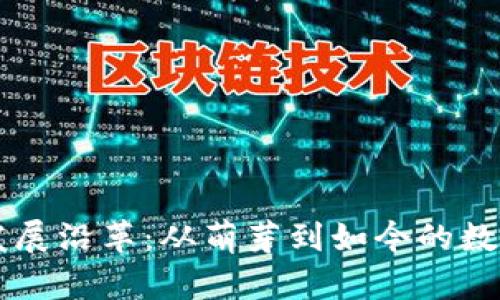 区块链钱包的发展沿革：从萌芽到如今的数字资产保管利器