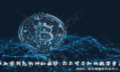 揭开比特币加密钱包的神秘面纱：你不可不知的