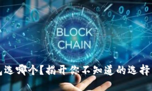 区块链钱包选哪个？揭开你不知道的选择背后的秘密