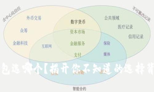 区块链钱包选哪个？揭开你不知道的选择背后的秘密