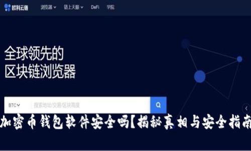 加密币钱包软件安全吗？揭秘真相与安全指南
