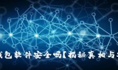 加密币钱包软件安全吗？揭秘真相与安全指南
