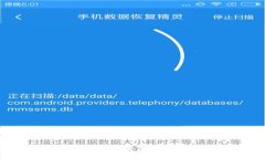 探秘波场钱包：加密世界里的数字资产保护之道