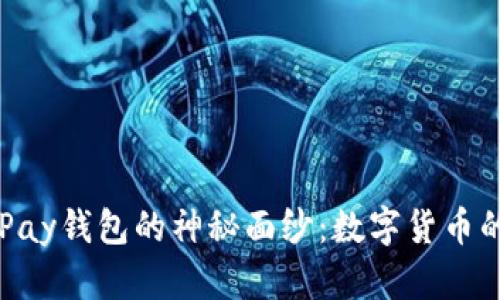 揭开CGPay钱包的神秘面纱：数字货币的新选择