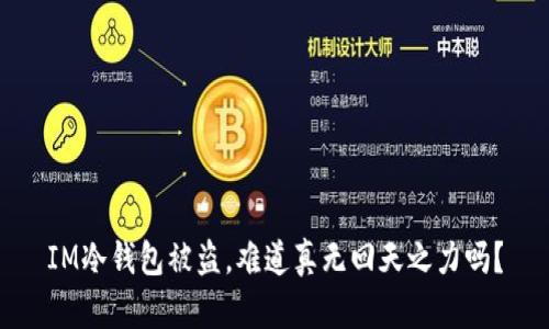 IM冷钱包被盗，难道真无回天之力吗？