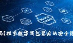 imToken安全吗？探索数字钱包背后的安全隐患与保