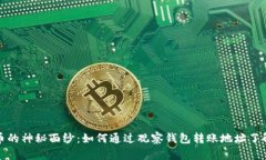 揭秘虚拟币的神秘面纱：如何通过观察钱包转账