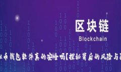 下载虚拟币钱包软件真的安全吗？探秘背后的风
