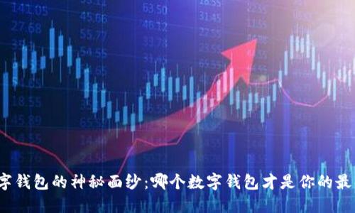 揭开数字钱包的神秘面纱：哪个数字钱包才是你的最佳选择？