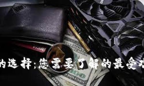 数字钱包的选择：您需要了解的最受欢迎的选项