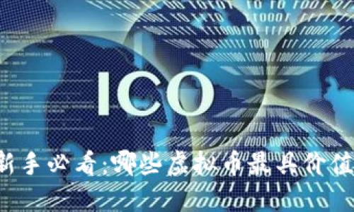 虚拟币投资新手必看：哪些虚拟币最具价值和未来潜力？