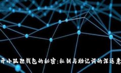 揭开小狐狸钱包的秘密：私钥与助记词的深远意