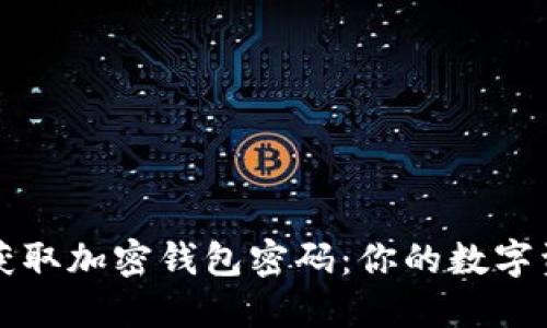 如何安全地获取加密钱包密码：你的数字资产保护指南