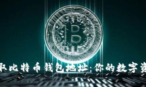 如何轻松获取比特币钱包地址：你的数字资产安全之路