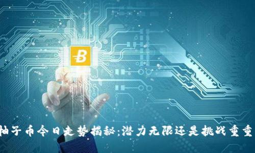 柚子币今日走势揭秘：潜力无限还是挑战重重？