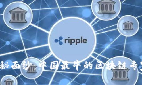 揭开神秘面纱：中国最牛的区块链专家是谁？